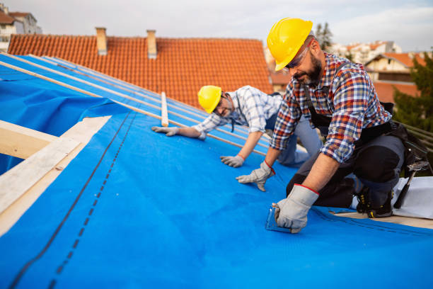 Best Commercial Roofing Services  in The Galena Territory, IL