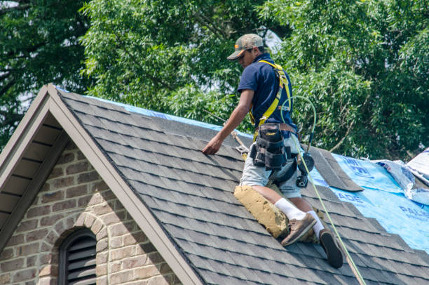 Best Roof Waterproofing Services  in The Galena Territory, IL